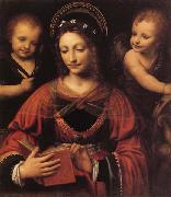 LUINI, Bernardino St.Catherine oil painting picture wholesale